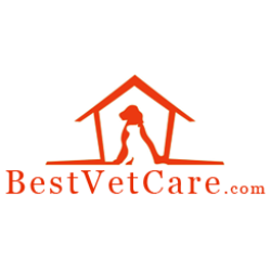 BestVetCare screenshot
